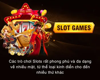 Đa dạng trận đấu và sới gà